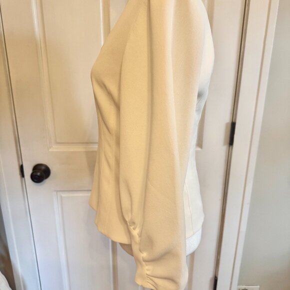 tibi | balloon sleeve top with exposed rose gold zipper in back | size 6 - Picture 4 of 6